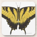 Search for cute barware Photography