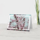 Search for beautiful spring cards Photography