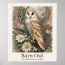 Search for barn owl posters Animal