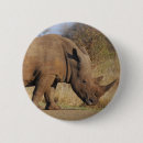 Search for rhinos badges Safari