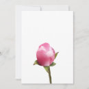 Search for bud cards Floral
