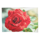 Search for red roses pillowcases Garden
