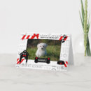 Search for dog fathers day cards From the dog
