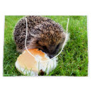 Search for hedgehog gift bags Cute