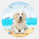 Search for golden retriever dog stickers Animal