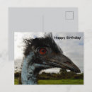 Search for australian bird cards Emu