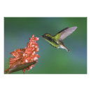 Search for rolf nussbaumer art Flower