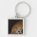 Search for platform key rings Majestic
