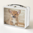 Search for corgi lunch boxes Pet