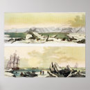 Search for spitsbergen art Scandinavia