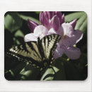 Search for swallowtail mousepads Black