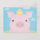 Search for baby pig postcards Farm animals
