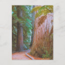 Search for maoris postcards Nature
