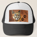 Search for cubs hats Animals