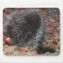 Search for apple mousepads Fall