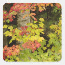 Search for white mountains new hampshire stickers White mountain national forest