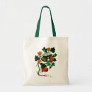 Search for squash accessories Veggie