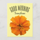 Search for good postcards Bright
