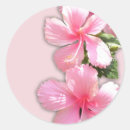 Search for brilliant photography Pink