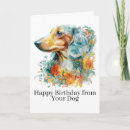 Search for from dog to owner birthday cards Pet