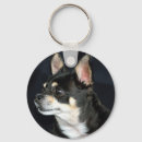 Search for purebreed accessories Pet