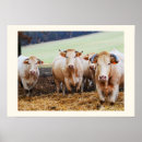 Search for french countryside art France