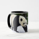 Search for giant panda mugs Bear