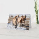 Search for running horse cards Herd