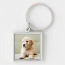 Search for couch key rings Animal