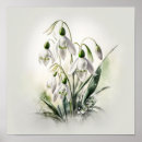 Search for snowdrop art White flowers