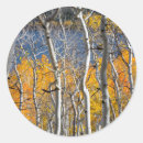 Search for aspen trees stickers Autumn
