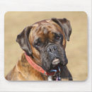 Search for brindle mousepads Bob and pam langrish