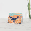 Search for desert bird cards Roadrunner