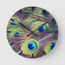 Search for peacock clocks Feathers
