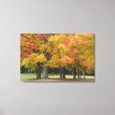 Search for concorde canvas prints Massachusetts