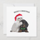 Search for funny dog and cat christmas cards Pets