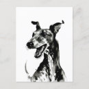 Search for whippet dog postcards Sighthound