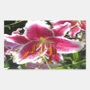 Search for pink lily stickers Botanical
