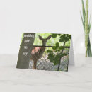 Search for sportsman cards Photography