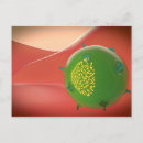 Search for immune system postcards Three dimensional