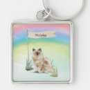 Search for rainbow bridge key rings Cat