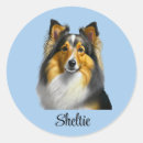 Search for shetland sheepdog stickers Animal