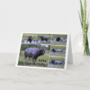 Search for buffalo birthday cards Animal
