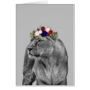 Search for lioness cards Cat