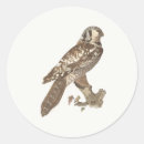 Search for owl photo stickers Illustration