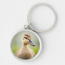 Search for ducks key rings Wildlife