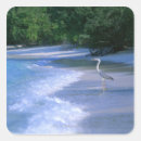 Search for beach resort stickers Maldives