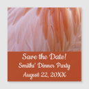 Search for pink flamingo save the dates Animal