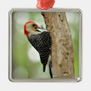 Search for woodpecker christmas tree decorations Birds and blooms