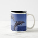 Search for dolphin mugs Marine